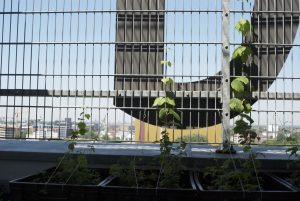 Ausblick vom Dachgarten der Bremer Volkshochschule. Foto: vhs Bremen