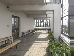 Kräuter und mehr auf dem Dachgarten der Bremer Volkshochschule. Foto: Hektor